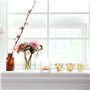 Perles de Gel colorées pour la décoration de Vase