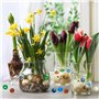 15 Pcs Bille Rare Billes Enfant Billes Forme Billes Rare Billes Forme Enfant Billes Enfant Rare Billes Phosphorescentes Bille Ra