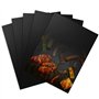 Set de 5 Tapis de Cuisson BBQ 40x30 cm