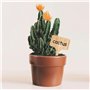 CVDYWDJIE Étiquettes en Bois De 50 Pièces Et Marqueurs De 2 Pièces, Étiquettes De Plantes, Outils De Marquage De Plantes en Pot,