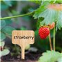 CVDYWDJIE Étiquettes en Bois De 50 Pièces Et Marqueurs De 2 Pièces, Étiquettes De Plantes, Outils De Marquage De Plantes en Pot,