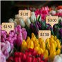 CVDYWDJIE Étiquettes en Bois De 50 Pièces Et Marqueurs De 2 Pièces, Étiquettes De Plantes, Outils De Marquage De Plantes en Pot,