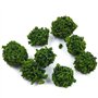 Tiardey 40 pièces Arbres de Brousse Groupes de végétation Miniatures arbustes Chemin de Fer Herbe Artificielle pour Train modèle