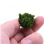 Tiardey 40 pièces Arbres de Brousse Groupes de végétation Miniatures arbustes Chemin de Fer Herbe Artificielle pour Train modèle