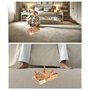 Cat grottes