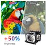 Supermait ET-LAV400 ET LAV400 ETLAV400 A+ Qualité Lampe ampoule bulbe de projecteur de remplacement avec boîtier Compatible avec