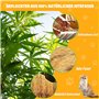 Swetfela Corde en Sisal Naturel de 6 mm(60 mètres), Corde Jute Arbre a Chat avec 2 Souris, Corde de Jute Naturel Chat Accessoire