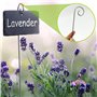 ZAHD 10 pièces Étiquettes de Plantes en métal résistant aux intempéries étiquettes Potager Ardoise marque plante pour jardin Cad