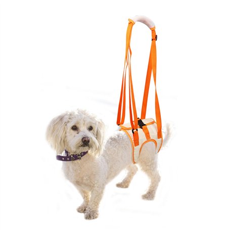 RICHDMI Harnais de Transport pour Chien