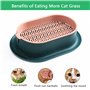 Shengxi 2 Pièces Herbe à Chat Boîte en Plastique, Kit de Culture d'herbe pour Chat Pot de Germination Hydroponique Plateau de Ja