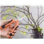 Abiyou 3 Pièces Ciseaux de Jardin Acier Inoxydable, Ciseaux de Jardin de Haute Précision, Sécateur Cisailles de Jardinier,Jardin