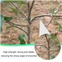 Support de Branche pour Arbres fru