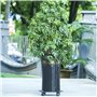 Porte Plante à roulettes, 2 Pièce Supports De Pots De Fleurs à roulettes Métal avec Roues Verrouillables pour Intérieur et Extér