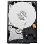 Western Digital Caviar Green Disque dur Interne 3