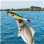 6 Pièces Leurres de Pêche, Leurres pour Poissons en Caoutchouc, Leurres Souples, Leurres Artificiels pour Brochet, Sandre, Toute