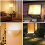 liuchanghe R7s Ampoule Halogène 78mm 150W, AC220-240v Dimmable Halogène R7s Blanc Chaud 2800K, J78 Ampoule Halogène Crayon pour 