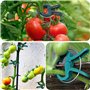 WoRuyKot Lot de 40 Pinces à Clips de Support pour Plantes, Clip Support Plante, Tuteur Tomates, Attache Tomate Pince Plante Grim