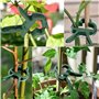 WoRuyKot Lot de 40 Pinces à Clips de Support pour Plantes, Clip Support Plante, Tuteur Tomates, Attache Tomate Pince Plante Grim