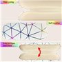 Xpieoyrm Lunettes 3 pièces avec Chiffon à Lunettes, Étui à lunettes portable personnalisé, Étui Rigide à Lunettes de Soleil en C