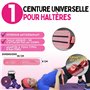 Gymnastique Materiel, Bande Elastique Musculation en Tissu, Yoga, Pilates, Fitness, Squats, Pont fessiers. en Boîte Cadeau pour 