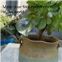 KAYSENSUK 10 pièces Boules D'arrosage Automatique Matériel d'Arrosage Automatique en PVC pour Plantes Plante Arrosage Ampoules B