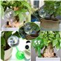 KAYSENSUK 10 pièces Boules D'arrosage Automatique Matériel d'Arrosage Automatique en PVC pour Plantes Plante Arrosage Ampoules B