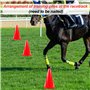 Fousenuk 10 Pièces Cônes de Signalisation 18cm, Cônes d'Entraînement de Football, Plots de Marquage, Support de Marqueur en Plas