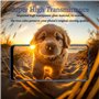 Zicurz 3 Pièces Verre Trempé pour Realme 7 Pro Film Protection écran, Dureté 9H, HD Transparent Sans Bulles, pour Realme 7 Pro