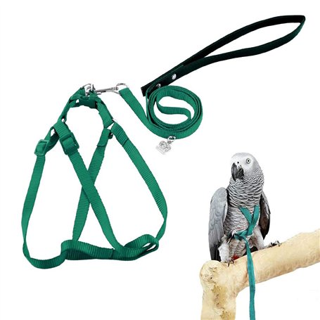 ASOCEA Harnais Et Laisse Pour Oiseaux Perroquet Attache RéGlable En Plumes Volant En Nylon Corde De Marche ExtéRieure Anti-Morsu