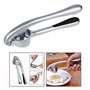 Itian Presse-ail de Cuisine Professionnelle