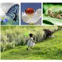 Pliable Insect Mesh