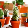 Lot de 210 Étiquettes pour Plantes Blanches en Plastique – Résistantes aux Intempéries – 10 x 2 cm – Etiquette Plante Pour Jardi