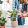 Lot de 210 Étiquettes pour Plantes Blanches en Plastique – Résistantes aux Intempéries – 10 x 2 cm – Etiquette Plante Pour Jardi