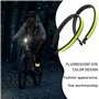 TAFACE Lot de 4 colliers réfléchissants, pinces à pantalon avec 2 pendentifs en forme d'étoile, extensibles pour jogging, randon