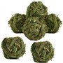 Camiter 6 Pièces Boule d'herbe de Timothy