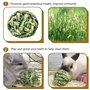 pour Lapins Hamsters Chin