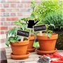 Lot de 30 étiquettes pour plantes, plantes de jardin, étiquettes pour plantes de jardin, piles d'étiquettes pour chaudières, min