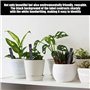Lot de 10 étiquettes pour plantes, 2 stylos en stéatite, étiquettes en ardoise noire, étiquettes d'insertion pour plantes, plaqu