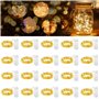 Lot de 20 Guirlande Lumineuse LED Mini Guirlande LED a Pile 1M 10 LEDs Fil de Cuivre Intérieur et Extérieur Décoration Lumière p
