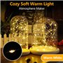 Lot de 20 Guirlande Lumineuse LED Mini Guirlande LED a Pile 1M 10 LEDs Fil de Cuivre Intérieur et Extérieur Décoration Lumière p