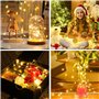 Lot de 20 Guirlande Lumineuse LED Mini Guirlande LED a Pile 1M 10 LEDs Fil de Cuivre Intérieur et Extérieur Décoration Lumière p
