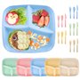 VFANDV 5 Pièces Assiette Compartiment