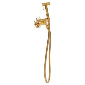 Douchette à main pour bidet - Kit d'hygiène personnelle - En acier inoxydable - Pistolet pulvérisateur réglable - Pour l'hygiène