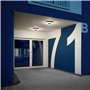 Sytmhoe Plafonnier Extérieur Étanche Porte d Entrée Terrasse 18W 2700-6500K Variable Dimmable Avec Télécommande Et Application, 