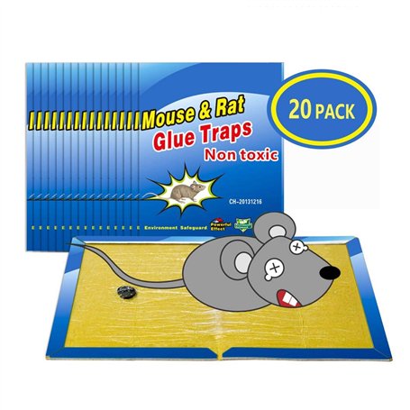 Wemk Piège à Souris Pièges à Rats