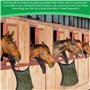 Vegena 2pcs Filet À Foin Pour Chevaux, Filet À Foin Sac À Foin Pour Chevaux Filets À Foin Filet D'alimentation Filet De Nourritu