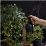 Arroseur En Acier Inoxydable: Arrosoir Robuste, Vaporisateur Efficace, Idéal Pour Plantes D'intérieur, Plantes En Pot (Noir, 300