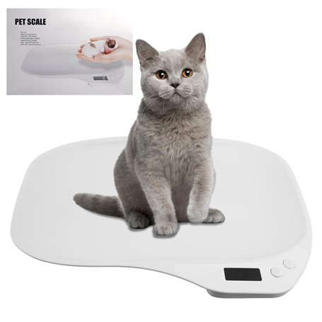 BORDEAG Balance pour Animaux