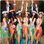 Coloré Leis Hawaïens Décorations De Fête Collier Bracelet Coiffe pour Mariage de Plage Haw