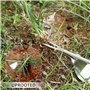 Lot de 2 désherbeurs en acier inoxydable et 1 paire de gants, outils de désherbage à main outils de désherbage de jardin, outils